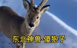 ayx体育官方网站-piC傻漓?a?轈?>(不爱就算了pixxie)