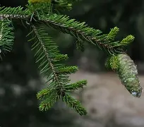 ayx体育官方网站-c1212是什么