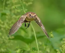 爱游戏官网-包含訂??K?增Q踣俣h勣??=鵖WB"g}M>V的词条